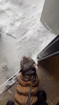 �����-������� �� ������ �����