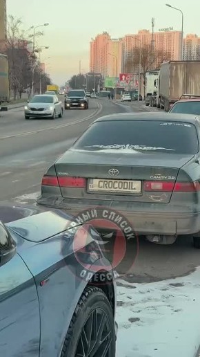 На улице в Одессе выстроился зверинец из машин