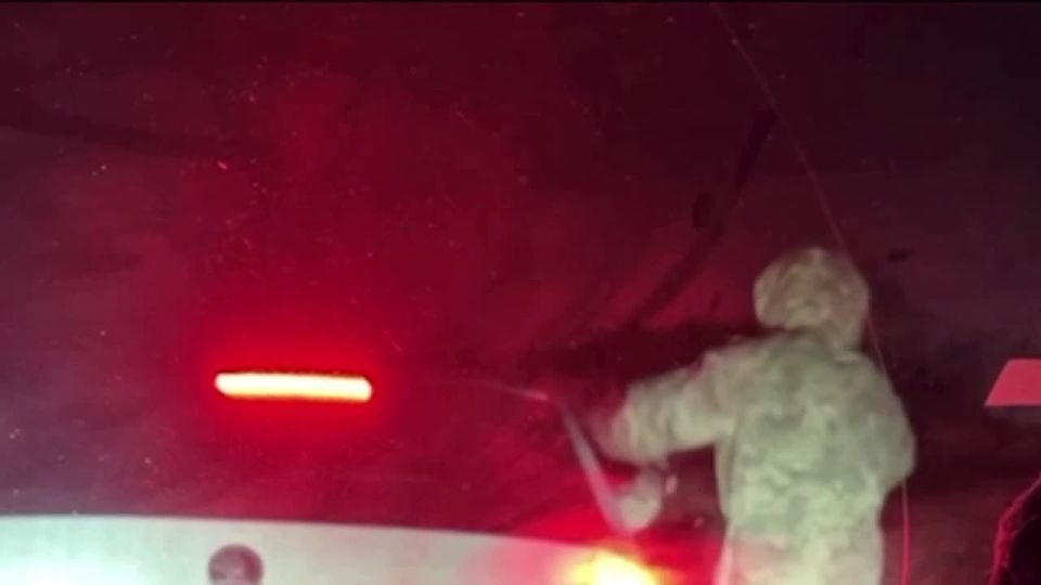 ������������ ���� �������� �� �����������