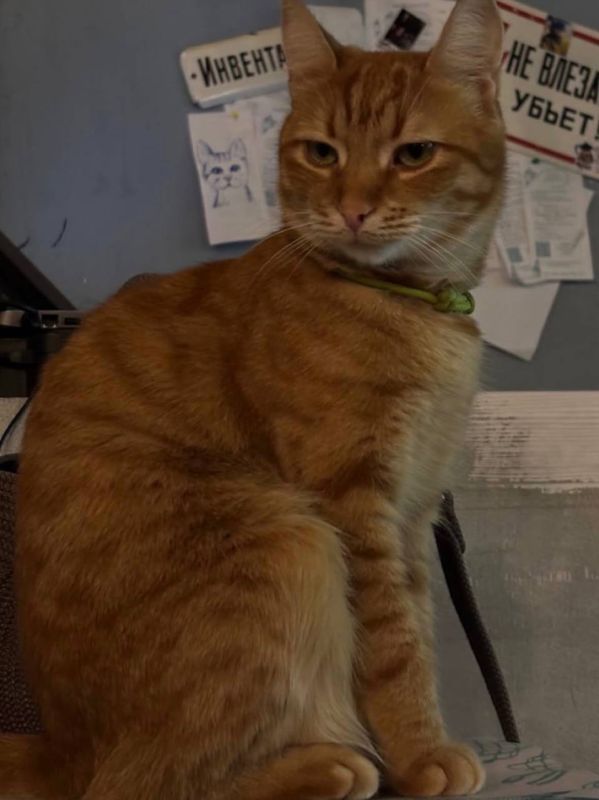 ����� ������ �������� ������� ��� � �����