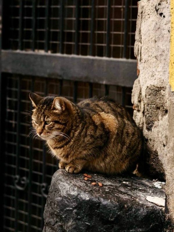 ����� ������ �������� ������� ��� � �����