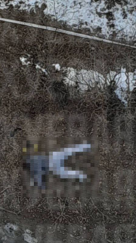 �� �������� �����, � 13 ����� �� ����, ������ ��� ���������� 16-������ �������