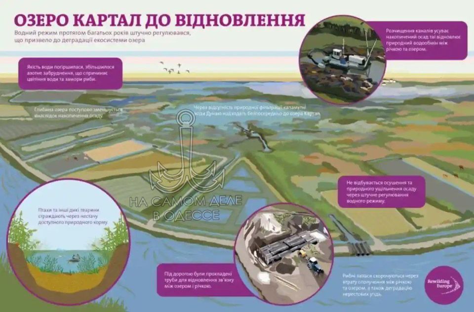 ������������ ������ 22 ������� 2026 ���� � ������ � ������� �����������: