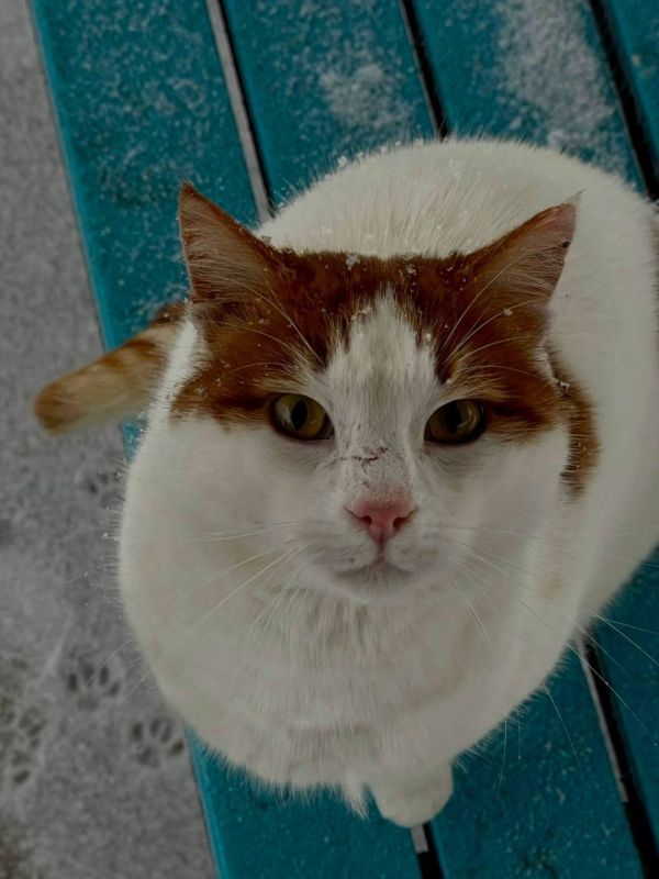 ����� ������ �������� ������� ��� � �����