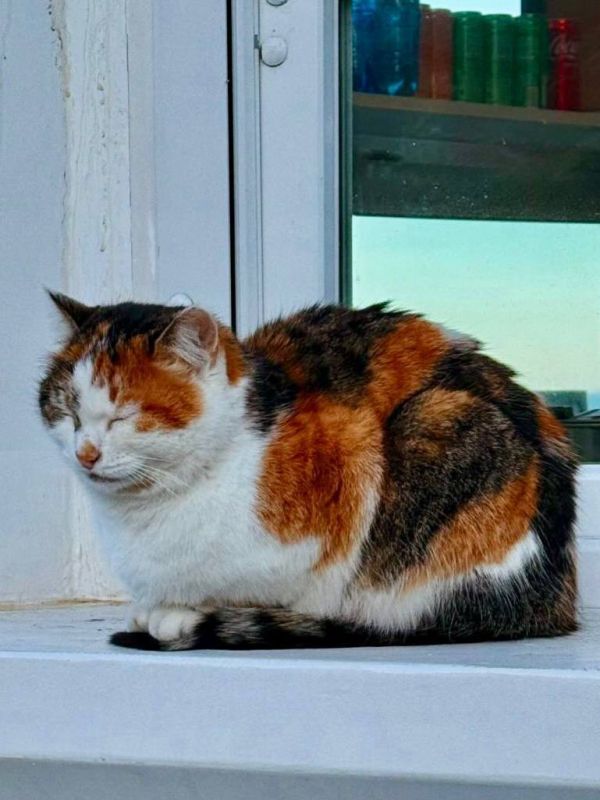 ����� ������ �������� ������� ��� � �����