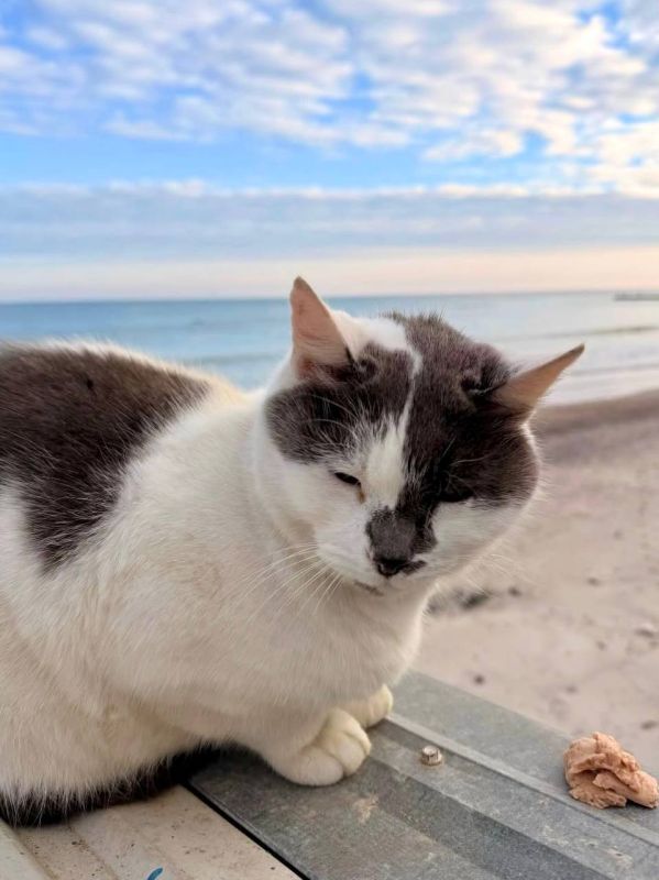 ����� ������ �������� ������� ��� � �����