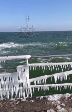 Таки да, Одесса-мама проснулась