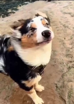 ��������! ��������� ����� �� ��������� �� 14 �/� ������� ��������� �� ������ � �������: ��������� ������� �������� ����, � �������������