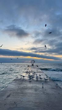 ������ ����, ������!. ������� �������, 24 �������, ��������� � ��������