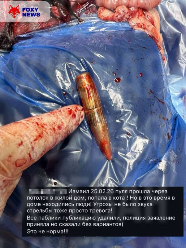 � ������� �������� ������� "������ ���" ����� ��������� ����