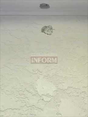 В Измаиле во время воздушной тревоги ПВО убило кота