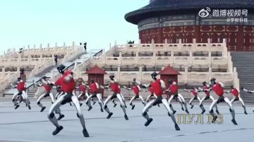 Отвлечёмся и развлечёмся. Не самая очевидная сфера применения электронных болванов — боевые искусства