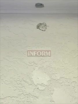 В Измаиле во время воздушной тревоги ПВО убило кота