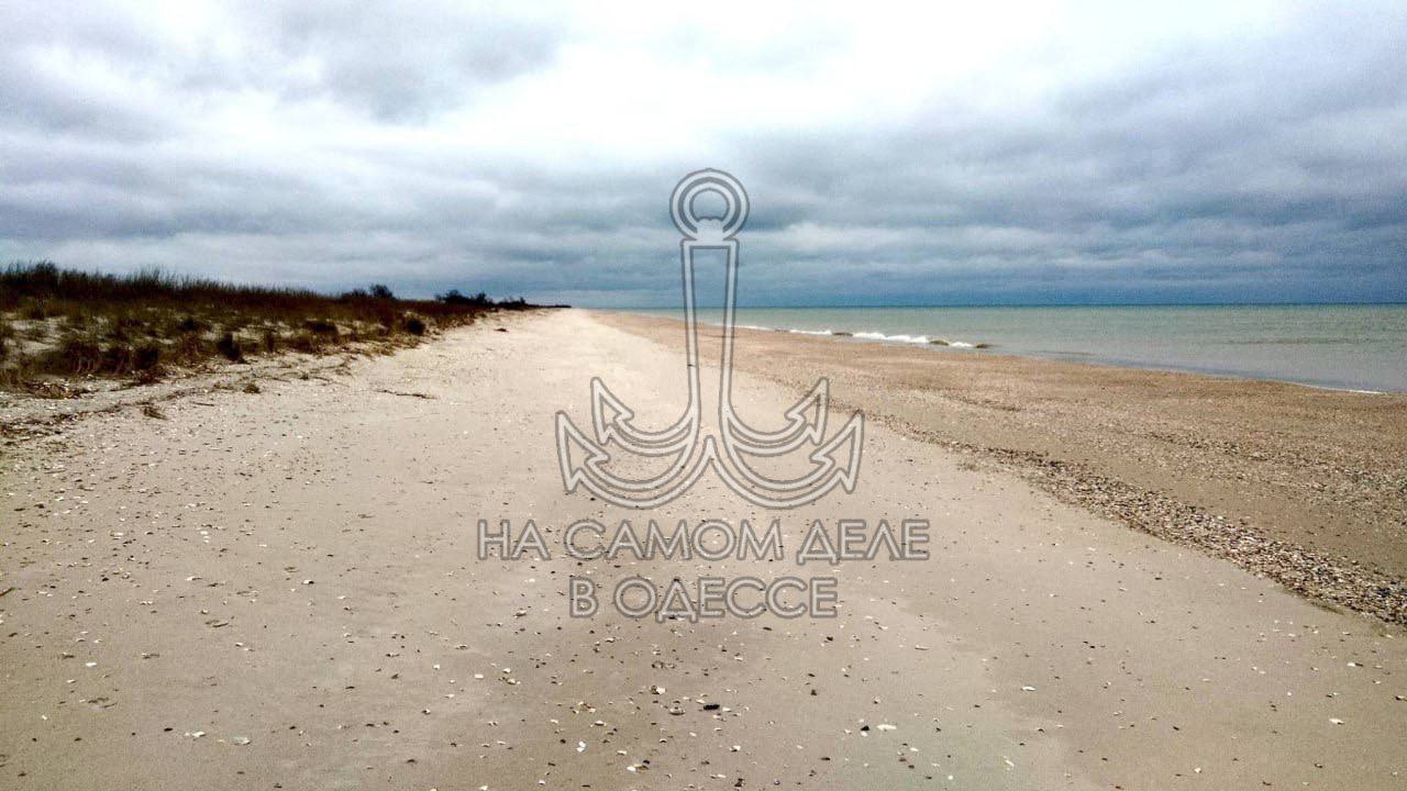 В Национальном парке «Тузловские лиманы» показали очередной шедевр инженерной мысли — тетраподы В Национальном парке «Тузловские лиманы» показали очередной шедевр инженерной мысли — тетраподы