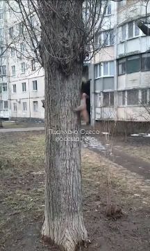 В Одессе белки устроили игры на камеру