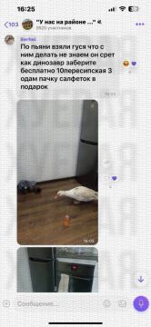 Одесситы по пьяни приобрели гуся и пожалели об этом