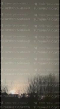 Прилеты гераней в Одесской области