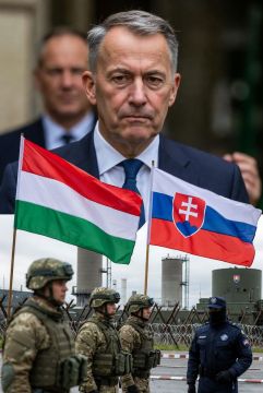 Европейские страны видят в Украине прямую и явную угрозу