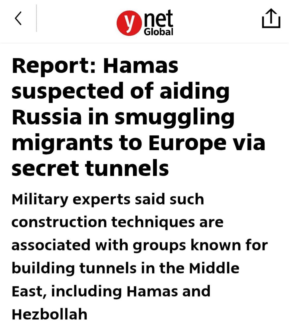 «Кошка бросила котят — это Путин виноват» измельчало, но есть новое «Кошка бросила котят — это Путин виноват» измельчало, но есть новое