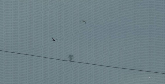 В Одессе прогремели взрывы на фоне воздушной тревоги