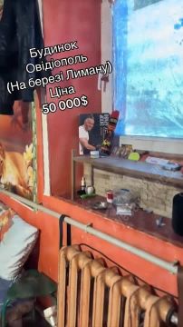 Домик мечты продают на берегу лимана в Одесской области