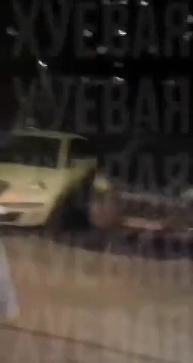 � ������ ������������ ����������