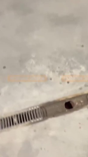 � ������ ���� �������� ����� � �������� �����������