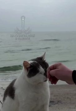 ������� ���������� ��������� ���� �������� �������