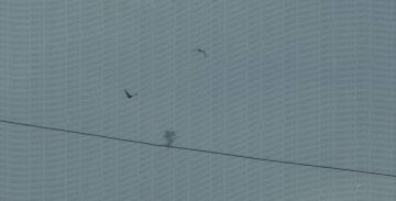 В Одессе прогремели взрывы на фоне воздушной тревоги