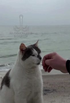 Таки да, Одесса-мама проснулась