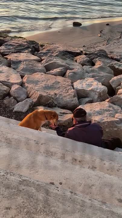 � ������ ������� � ������� �������� ����� ����� ������ ���