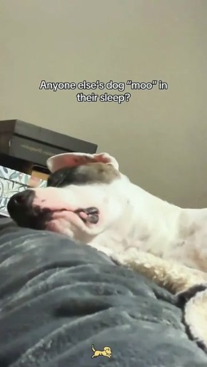 ����������, ��� ���������� �������, ����� �� ������ �������