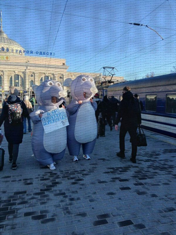 � ������ ����� ��������� ��-����������