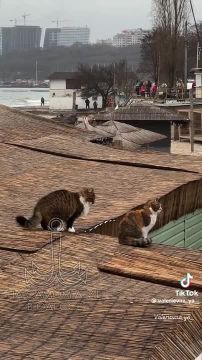 Таки да, Одесса-мама проснулась