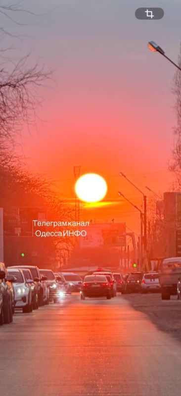 ����� ������� ���������� ���� �������� ���� �� ����