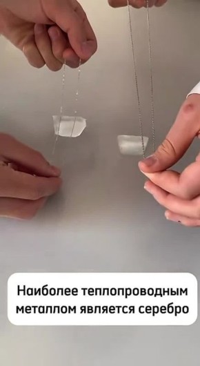 � ���� �������� ������� ������ �������� �������