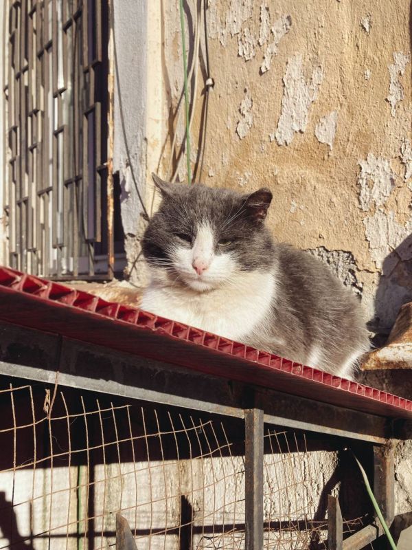 �������� ����������� ������ ����� � �����