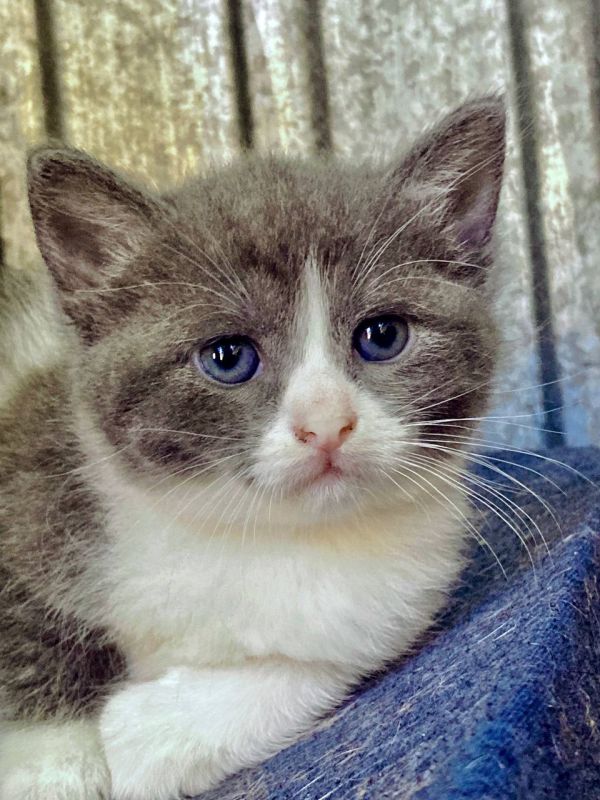 �������� ����������� ������ ����� � �����