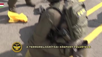 ������� �������� ������ �����������