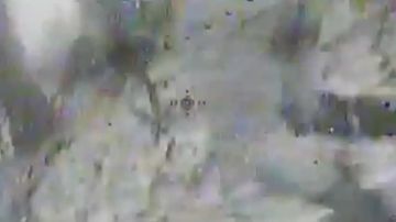 ���� ��������� ������ ���������� ������������ ����� ������ �� �������� ���������� ����� �� �������!