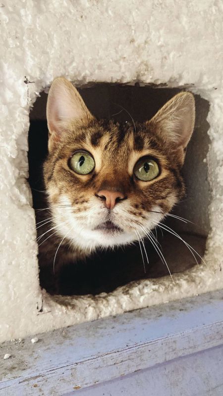 �������� ����������� ������ ����� � �����