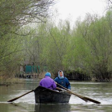 � �������� ������� ������� �� �������� ������������� ���������� ���������