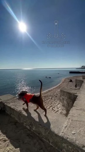 ���� ��, ������-���� ����������