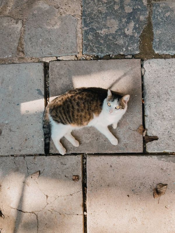 �������� ����������� ������ ����� � �����