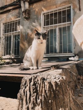 �������� ����������� ������ ����� � �����