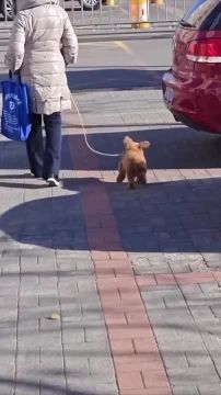 ����� ���������, ��� ������ �������, ���������� �������� ����� ��