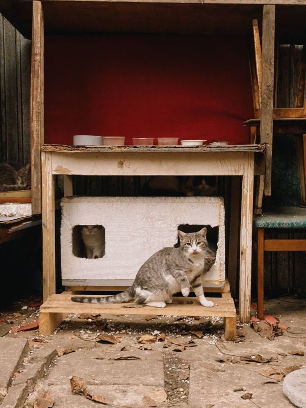 �������� ����������� ������ ����� � �����