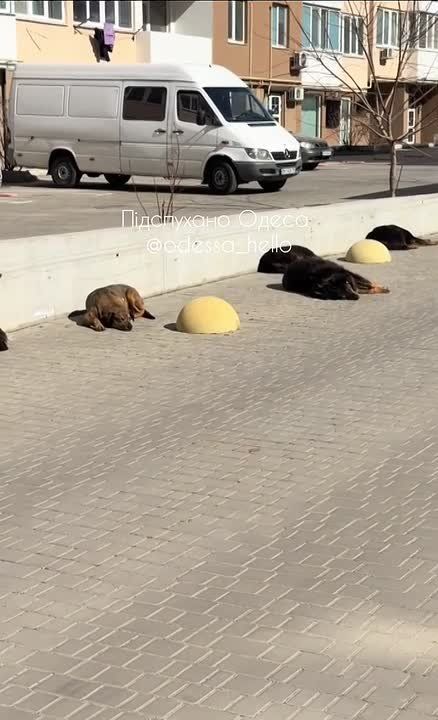 ������ � ������ ������� ������