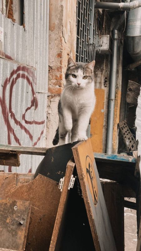 �������� ����������� ������ ����� � �����