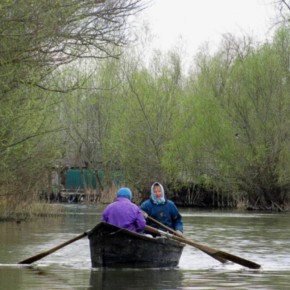 � �������� ������� ������� �� �������� ������������� ���������� ���������